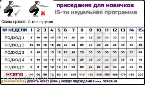 Дмитрий Корнилов - Год в армии