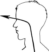 Дмитрий Верищагин - Освобождение