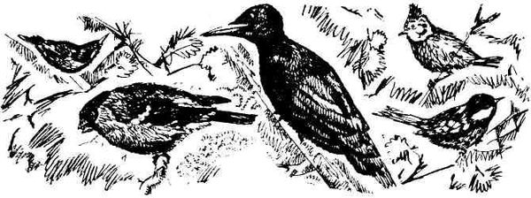 Николай Глебов, Григорий Устинов и др. - Колокольчик в тайге