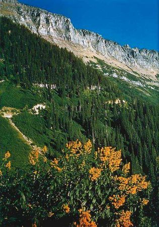 Екатерина Горбачева, Светлана Хворостухина - Географические открытия