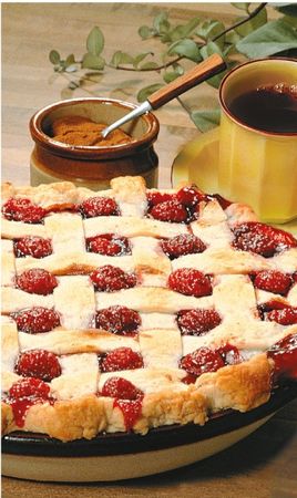 Таисия Левкина - Празднуем Рождество. Традиции, кулинарные рецепты, подарки