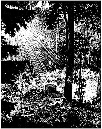 Сергей Есенин - Не жалею, не зову, не плачу...