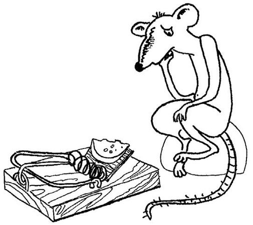 Анастасия Борисова - Эффективный лайф-менеджмент