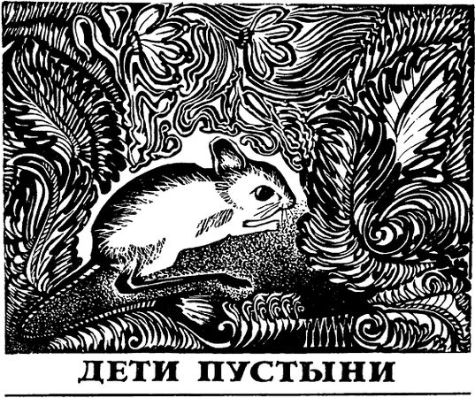 Павел Мариковский - Два лика пустыни