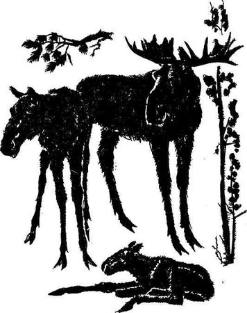 Николай Глебов, Григорий Устинов и др. - Колокольчик в тайге