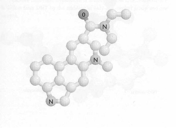 Рик Страссман - ДМТ - Молекула духа