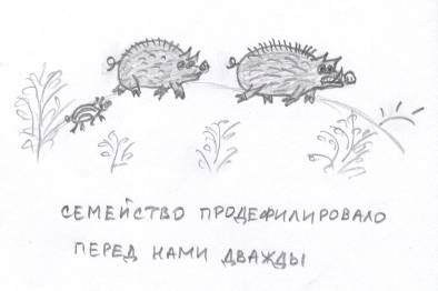 Татьяна Козырева - Прикольные случаи из моей практики / Стремные случаи из моей...