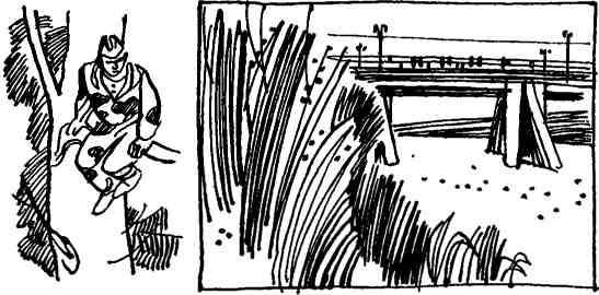 Семен Стрельцов - Белые призраки