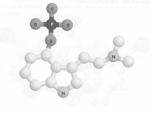 Рик Страссман - ДМТ - Молекула духа