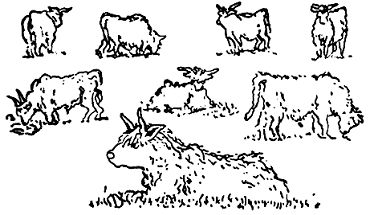 Карел Чапек - Рассказы северных ветров, или По пабам и паркам