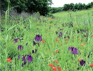 Влада Макарычева - Дальний Восток. Путеводитель