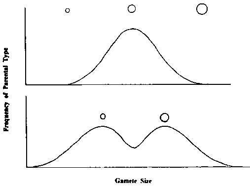 Марина Бутовская - Тайны пола. Мужчина и женщина в зеркале эволюции