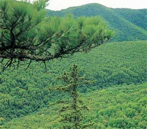 Влада Макарычева - Дальний Восток. Путеводитель