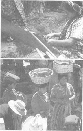 Эрих фон Дэникен - Боги майя [День, когда явились боги]