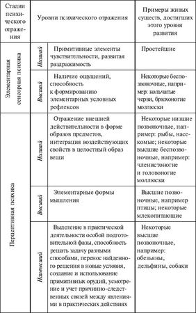 Анна Луковцева - Психология и педагогика. Курс лекций