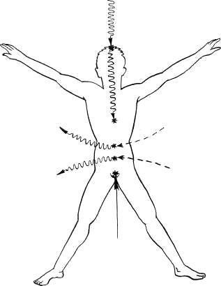Дмитрий Верищагин - Освобождение