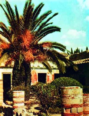 Елена Грицак - Помпеи и Геркуланум