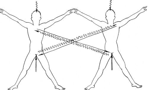 Дмитрий Верищагин - Освобождение