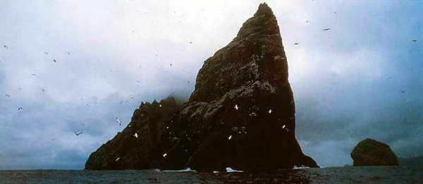 Екатерина Горбачева, Светлана Хворостухина - Географические открытия