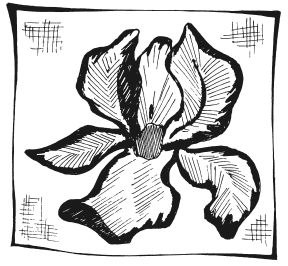 Татьяна Шнуровозова - Вышиваем гладью цветы и картины