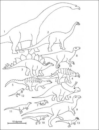 Джордж Пойнар, мл., Роберт Пойнар - Кто кусал динозавров?