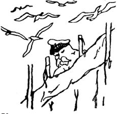 Карел Чапек - Рассказы северных ветров, или По пабам и паркам