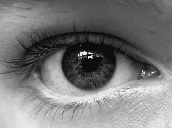 Анатолий Бернацкий - 100 великих тайн человека