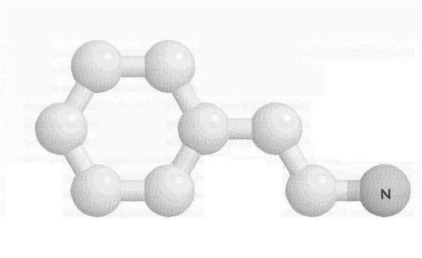 Рик Страссман - ДМТ - Молекула духа