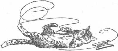 Екатерина Сургутская - Двадцать дней на борту корабля "Очарование"