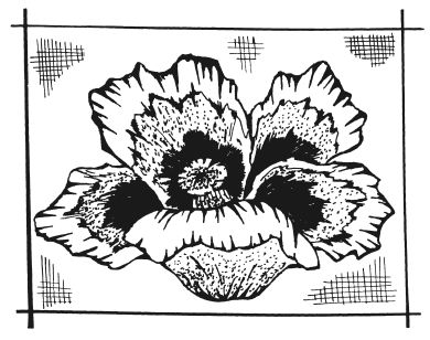 Татьяна Шнуровозова - Вышиваем гладью цветы и картины