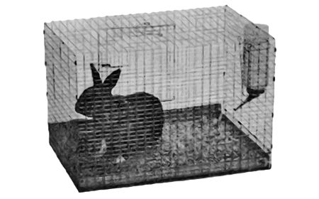 Феликс Кривин - Антология Сатиры и Юмора России ХХ века