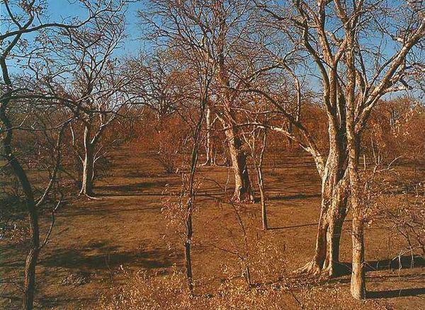 Екатерина Горбачева, Светлана Хворостухина - Географические открытия