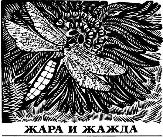 Павел Мариковский - Два лика пустыни