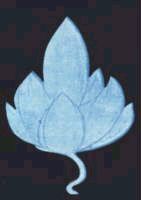 Анни Безант, Чарльз Ледбитер - Мыслеформы