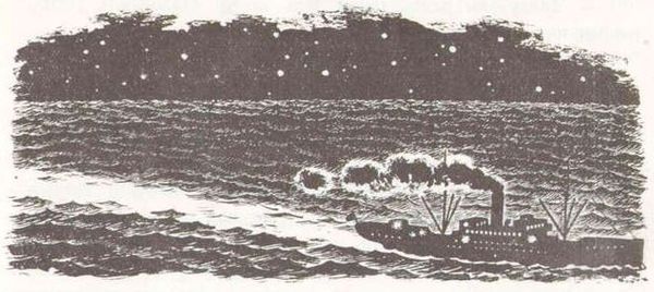 Сергей Заяицкий - Внук золотого короля