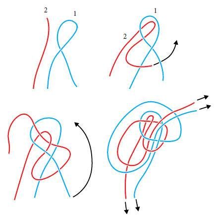 Валерий Демус - Большая книга узлов. Рыбацкие, охотничьи, морские, туристские,...