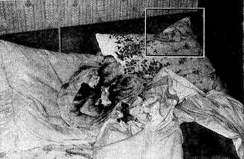 Игорь Винокуров - Ужас. Иллюстрированное повествование о нечистой силе