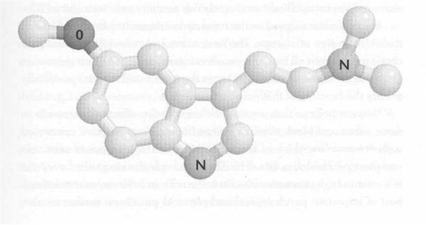 Рик Страссман - ДМТ - Молекула духа