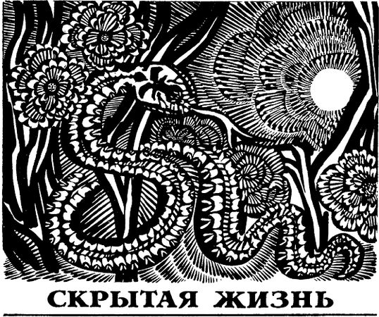 Павел Мариковский - Два лика пустыни