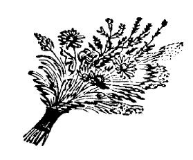 Сергей Есенин - Не жалею, не зову, не плачу...