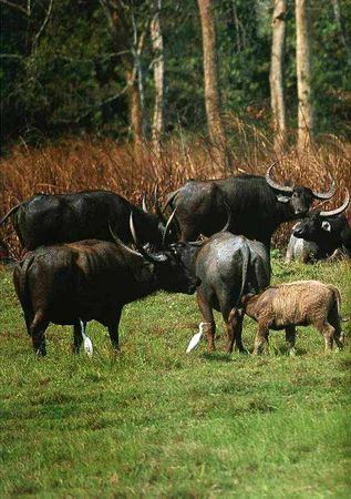 Екатерина Горбачева, Светлана Хворостухина - Географические открытия