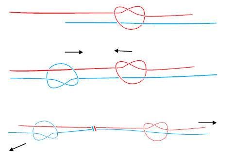 Валерий Демус - Большая книга узлов. Рыбацкие, охотничьи, морские, туристские,...