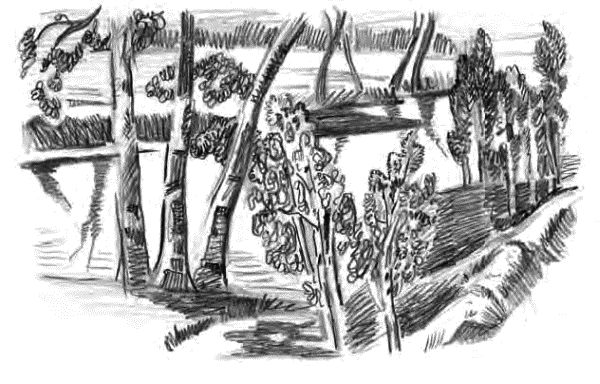 Иван Шмелев - Детям (сборник)