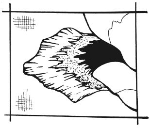 Татьяна Шнуровозова - Вышиваем гладью цветы и картины