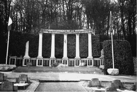 Василий Веденеев - 100 великих тайн Третьего рейха