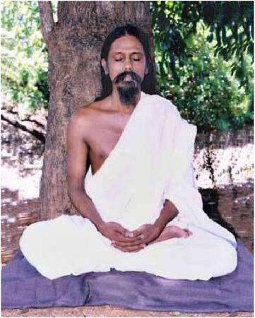 Натали Вайгелт - Рождение универсального человека Шри Татха Дхарма-сутры....