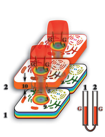Николай Левашов - Неоднородная Вселенная