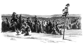 Иван Шмелев - Детям (сборник)