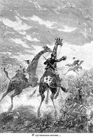 Жюль Верн - Южная звезда