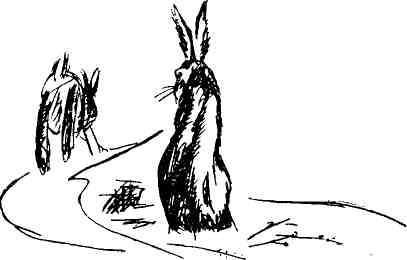 Николай Глебов, Григорий Устинов и др. - Колокольчик в тайге